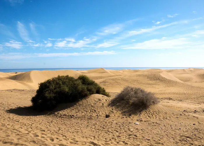 Lägenhet Prosurfing *