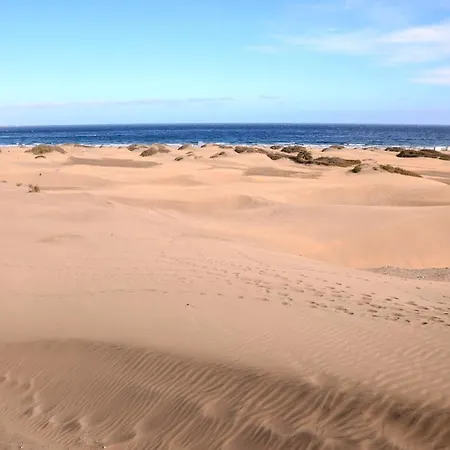 Prosurfing Appartamento *