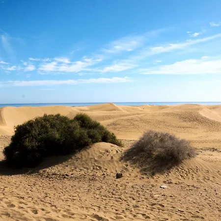 Appartamento Prosurfing *